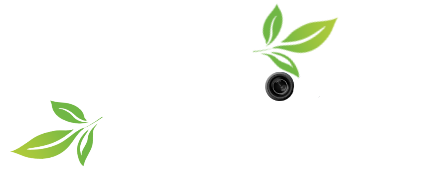 Ian Adrian Nature Photography
